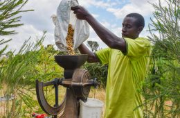 Cultivating Resilience: The Bomet Integrated Food Security & Livelihood Project’s Transformative Journey